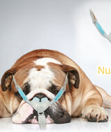 Book an Appointment with Rana Ephrem at MRC Sleep - Windsor