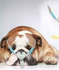 Book an Appointment with Rana Ephrem for Respiratory