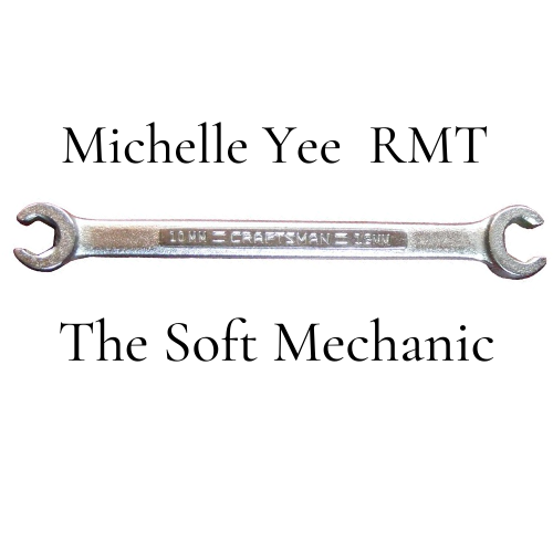 Soft Mechanic