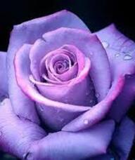 Book an Appointment with Maria Jesus Guerrero, Massage Therapist for Massage Therapy