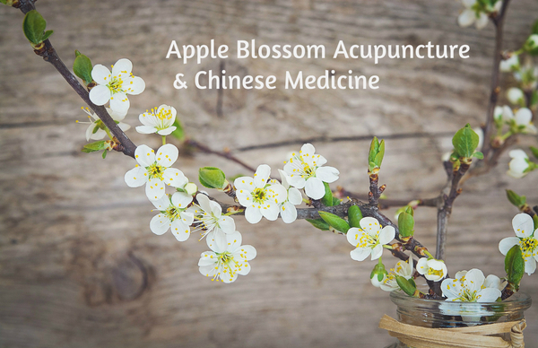 Apple Blossom Acupuncture & Chinese Medicine